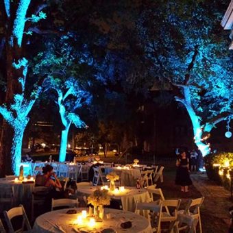 Alternative view of Outdoor LED Uplights